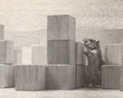 SEEK, ARCHITECTURE MACHINE GROUP