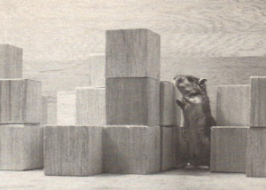 SEEK, ARCHITECTURE MACHINE GROUP