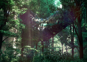 RENCONTRE AU BORD DU CHEMIN